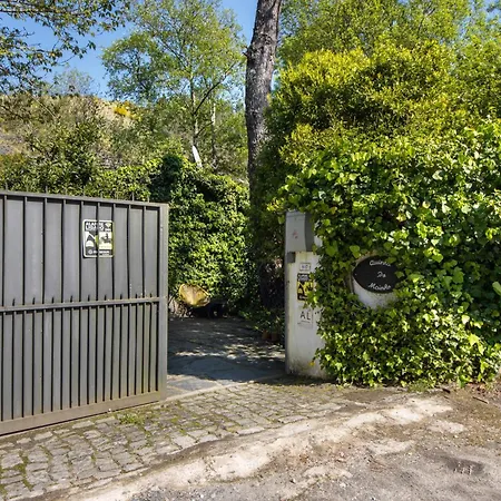 Quinta Do Moinho Campo Campo (Porto)